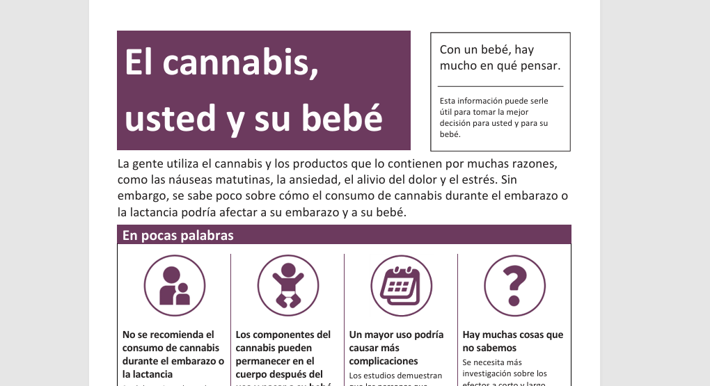 Un volante imprimible del CDPHE con datos rápidos y preguntas frecuentes sobre el consumo de cannabis durante el embarazo.